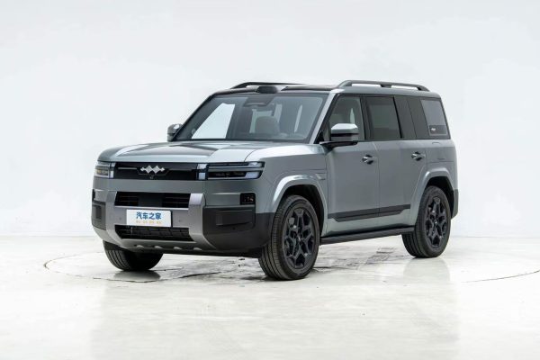 BDY Leopard 7 plug-in